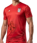 iran 2026 away jersey